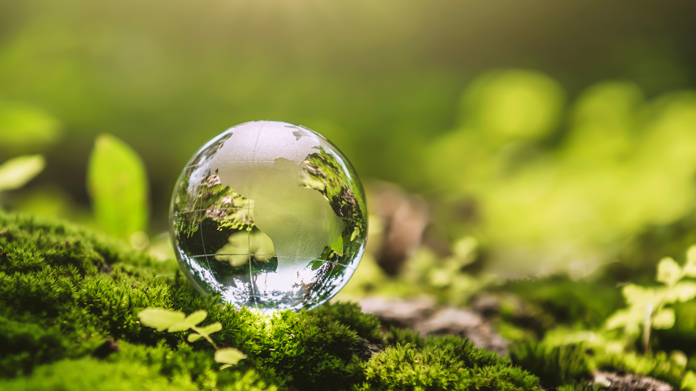 The gift of sustainability