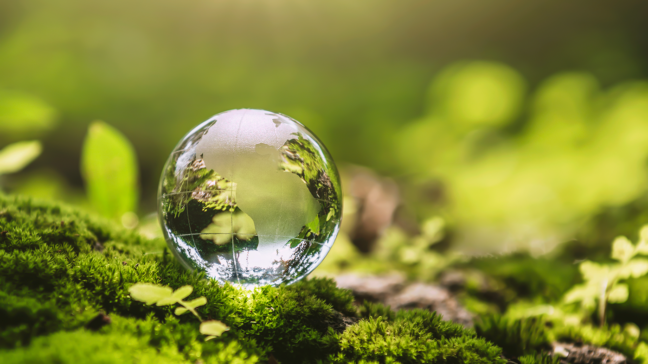 The gift of sustainability