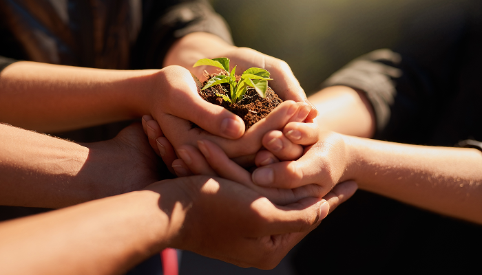 Eco enthusiasts package