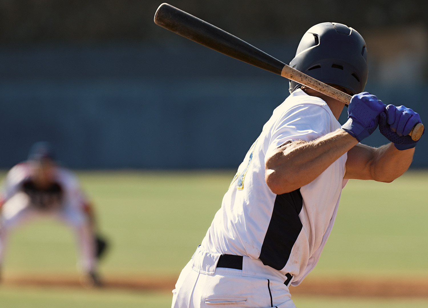 Baseball fanatics package