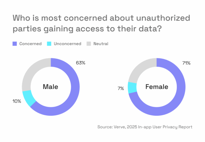 Who is more concerned about unauthorized parties gaining access to their data, by gender