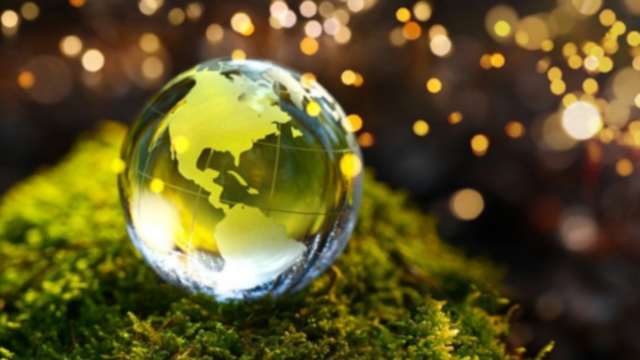 Verve sustainability efforts make it easier for advertisers and publishers to give back and create a more sustainable media industry