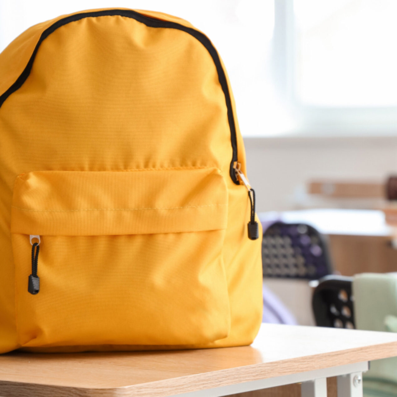 Back to school audience package