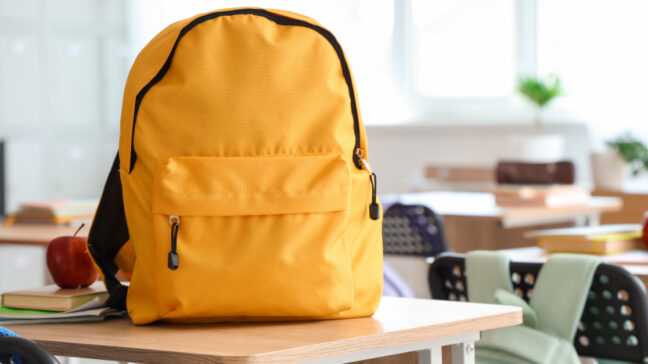 Back to school audience package