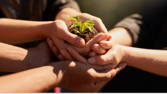 Eco enthusiasts package