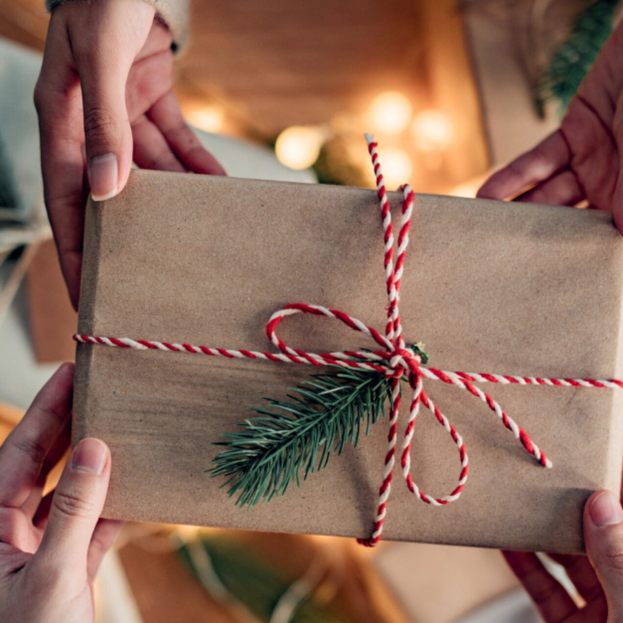 Holiday gift guide audience package